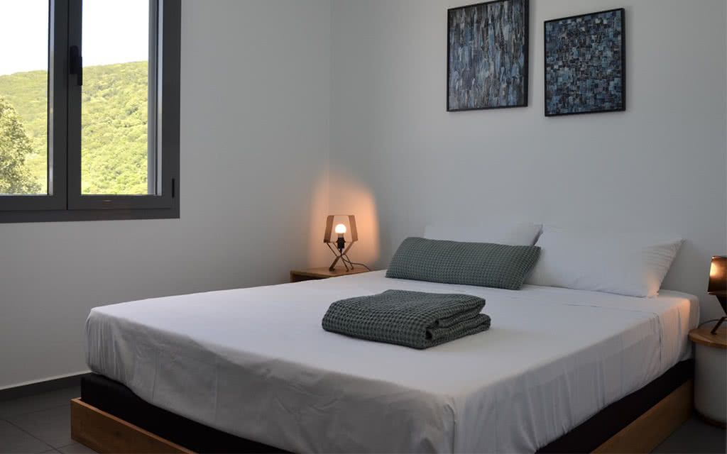 Villa Coco Cannelle Deshaies pas cher photo 9