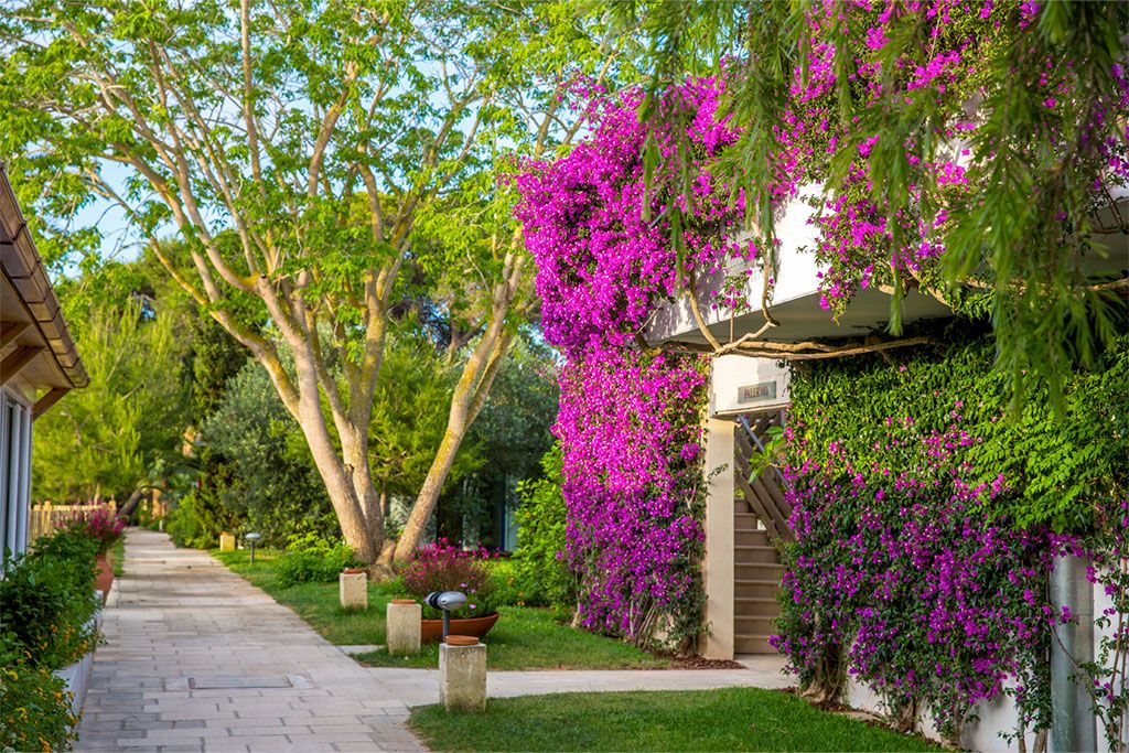 Hôtel Robinson Apulia Resort 4* pas cher photo 9