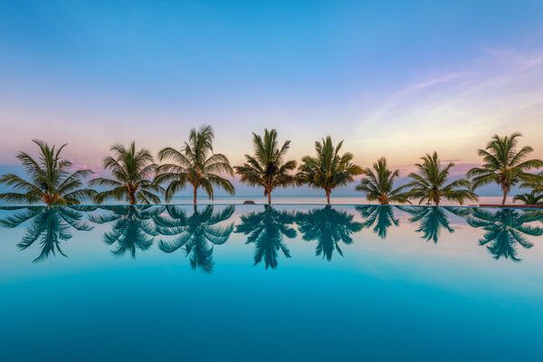 Hôtel Sea Cliff Resort & Spa Zanzibar 5* pas cher photo 5