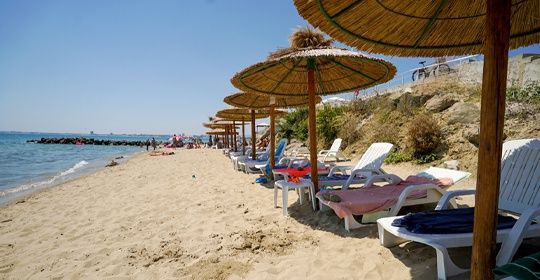 Top Clubs - Sineva Park - Flex - Bulgarie pas cher photo 2