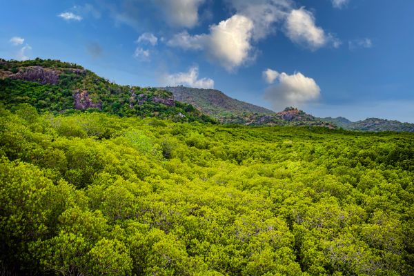 Pranburi, MyClub Dolphin Bay Resort 3/4 3*Formule Sourire du Siam 2* pas cher photo 18