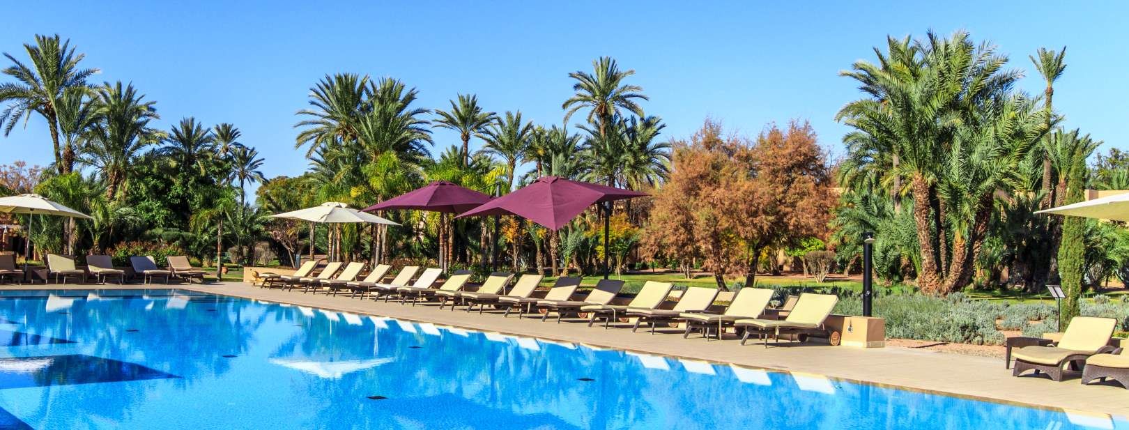 Hôtel Barcelo Palmeraie Oasis Resort 5* pas cher photo 2