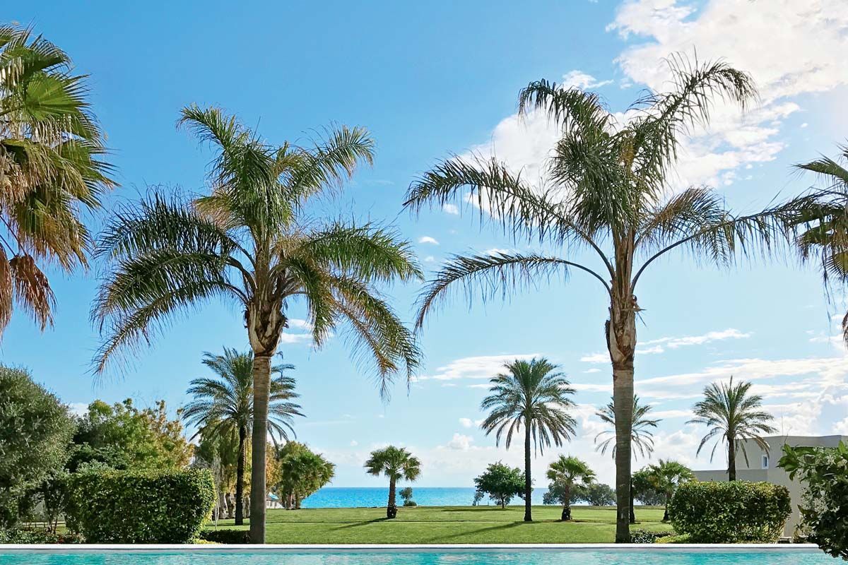 Hôtel Grecotel Casa Marron Lifestyle Resort 4* pas cher photo 3