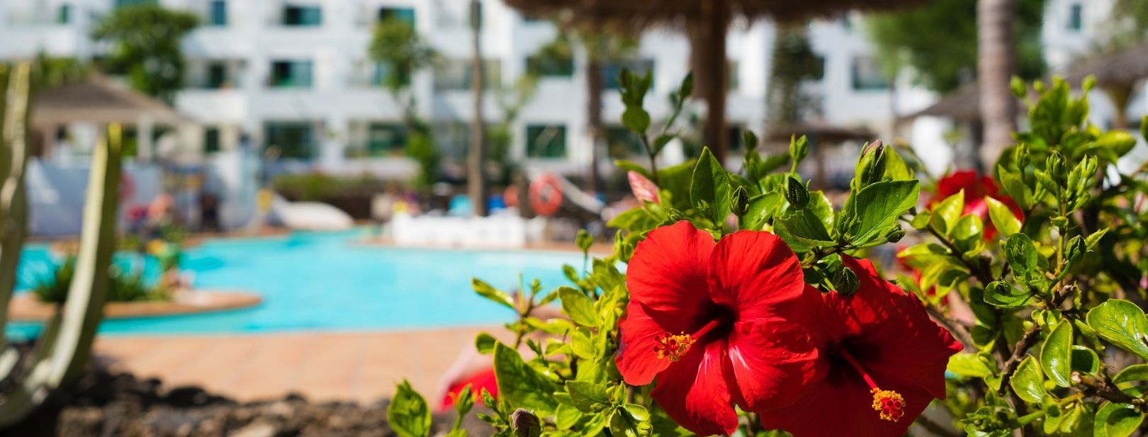 Hôtel Galeon Playa 3* pas cher photo 3