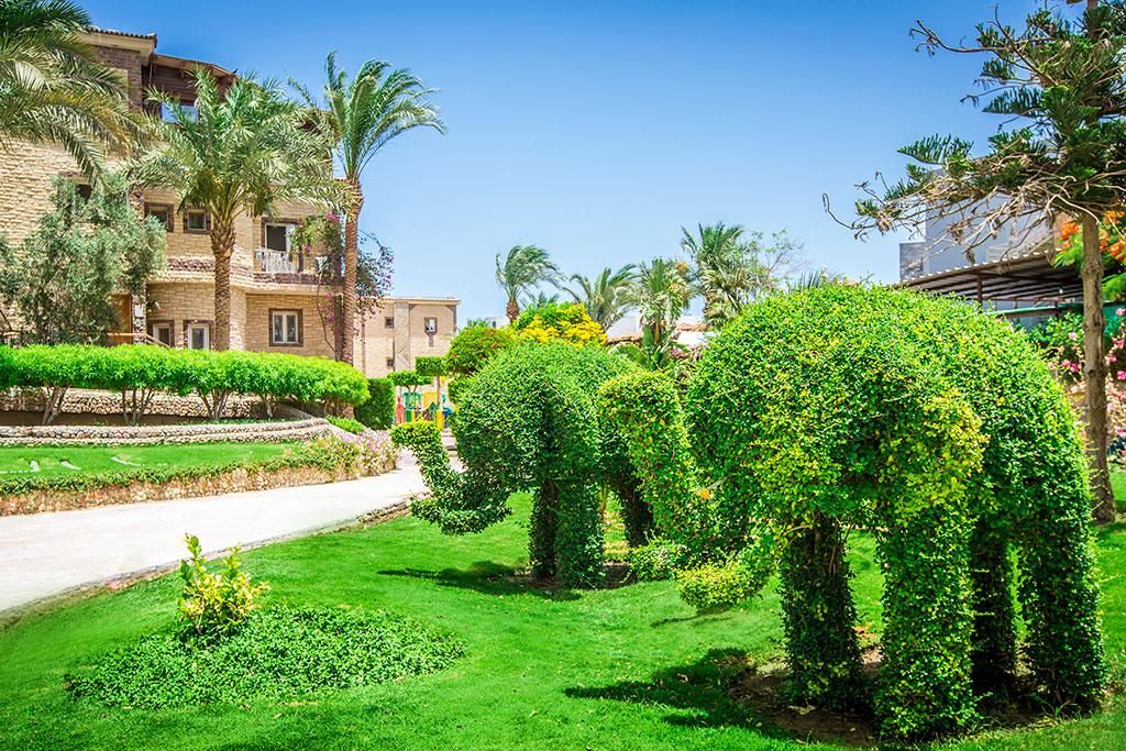 Hôtel Seagull Beach Resort 4* pas cher photo 13