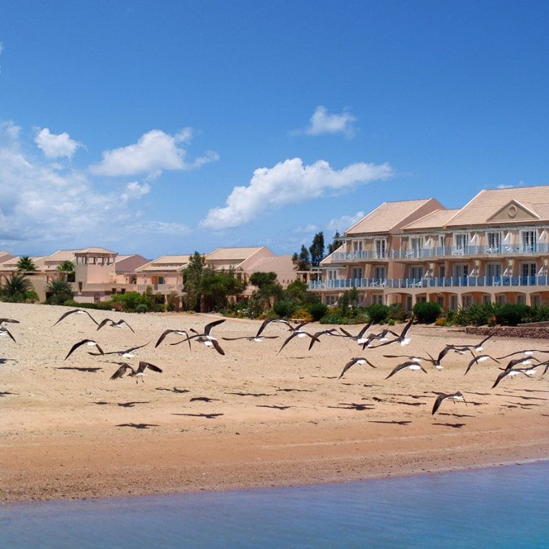 Hôtel Movenpick El Gouna Resort et Spa 5* pas cher photo 9