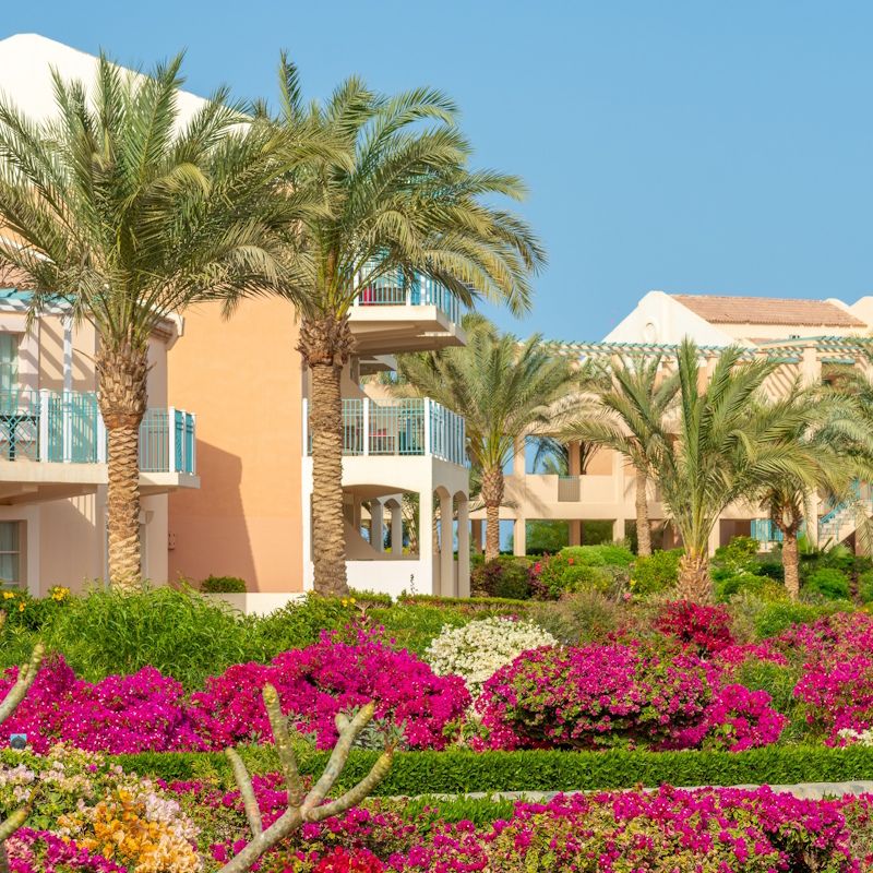 Hôtel Movenpick El Gouna Resort et Spa 5* pas cher photo 11