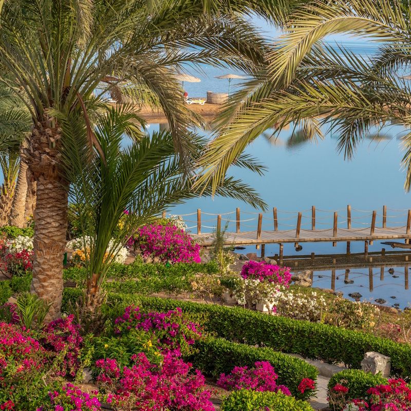 Hôtel Movenpick El Gouna Resort et Spa 5* pas cher photo 12