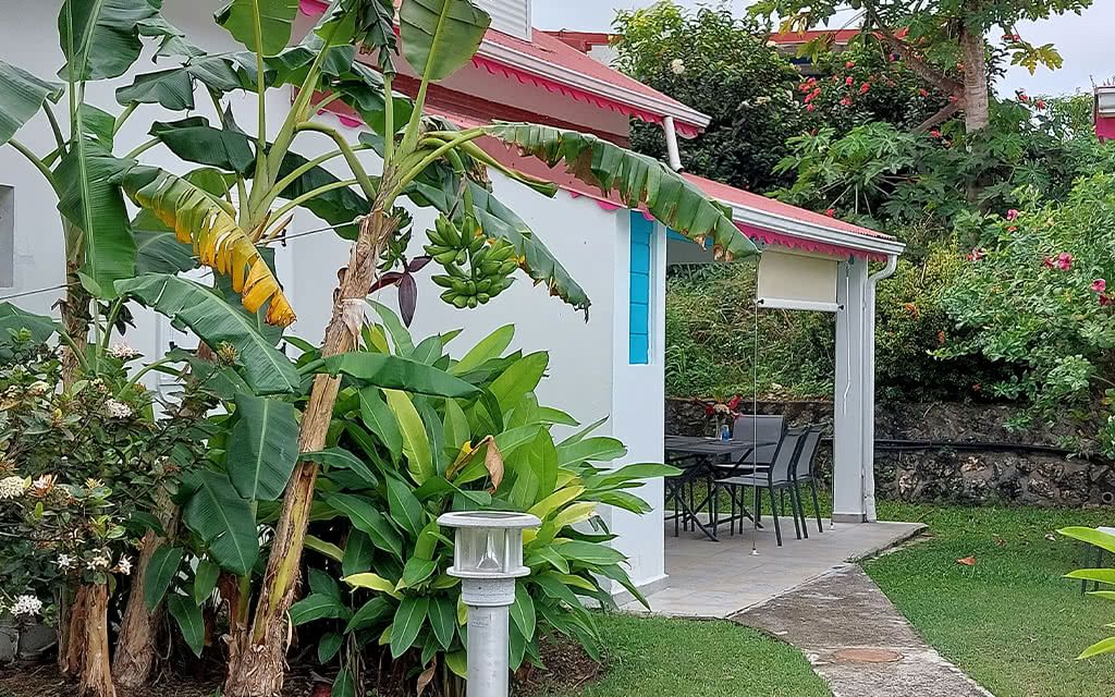 Berceuse Créole - Location de voiture incluse pas cher photo 14