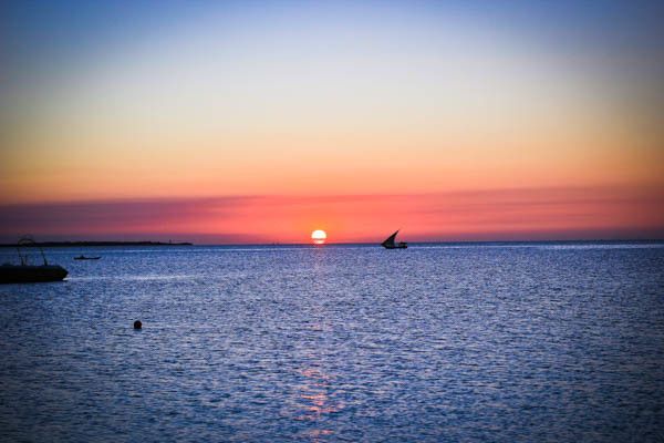 Hôtel Palumbo Kendwa 4* pas cher photo 6