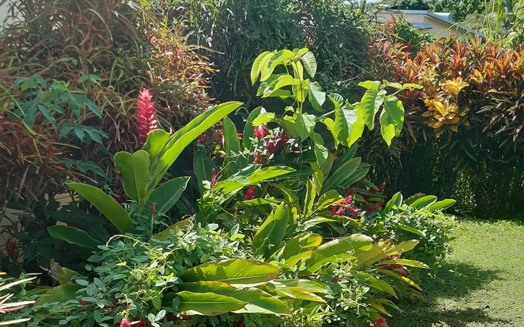 Résidence Villa Bleu Marine - Location de voiture incluse pas cher photo 12