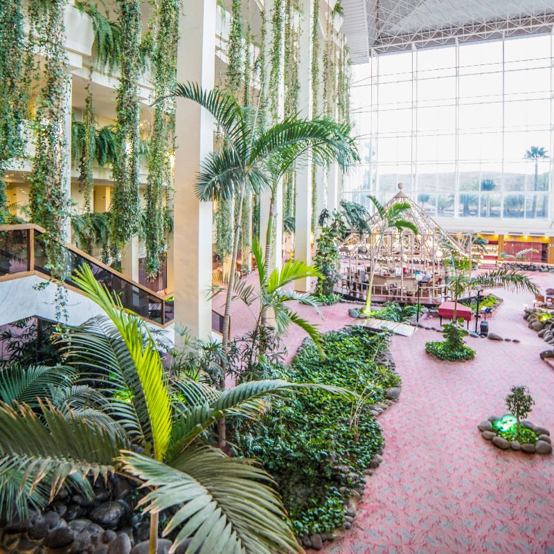 Mondi Club Beatriz Costa & Spa 4* pas cher photo 11