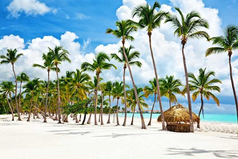 Hôtel Punta Cana Princess 5* pas cher photo 18