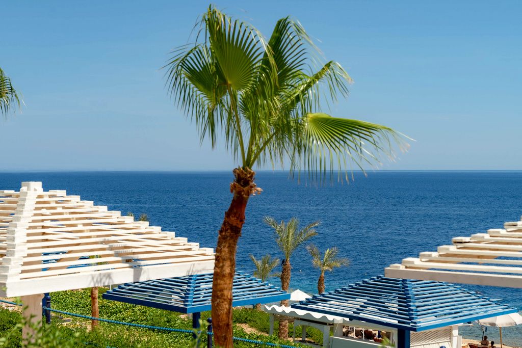 Hôtel Grand Oasis Resort 4* pas cher photo 4