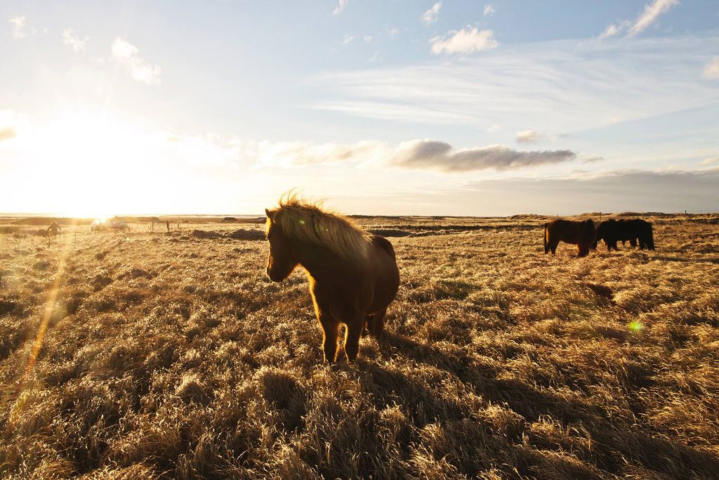 City Break 7 nuits Aventures et Soleil d'Islande 3* pas cher photo 1
