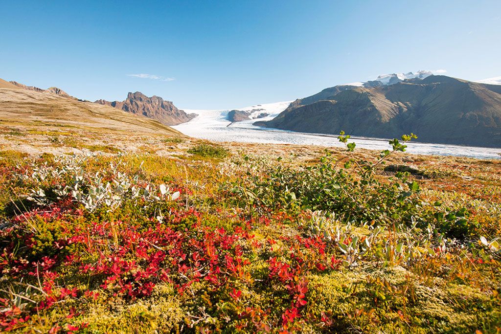 City Break 7 nuits Aventures et Soleil d'Islande 3* pas cher photo 4