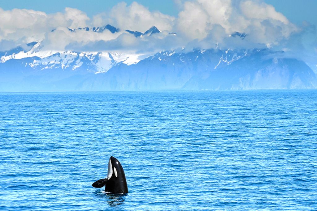 City Break 7 nuits Aventures et Soleil d'Islande 3* pas cher photo 9