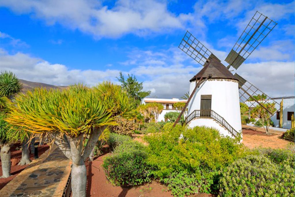 Smart Club Hôtel Drago Park 4* pas cher