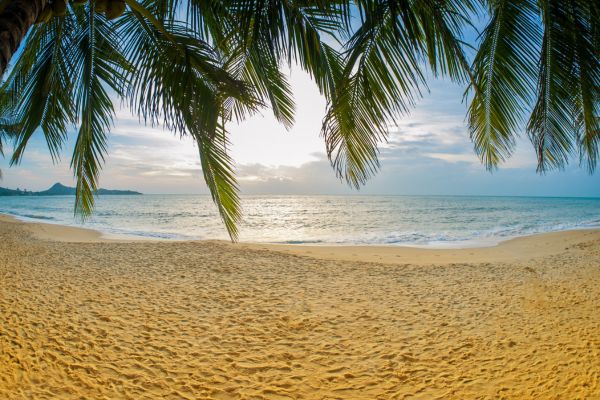 Séjour Samui Buri Beach Resort 4* pas cher