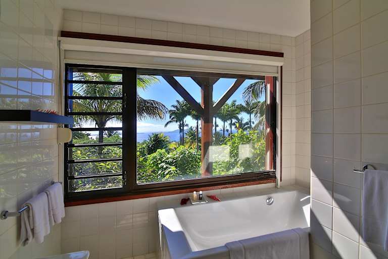 Jardin Malanga - 3* pas cher photo 8