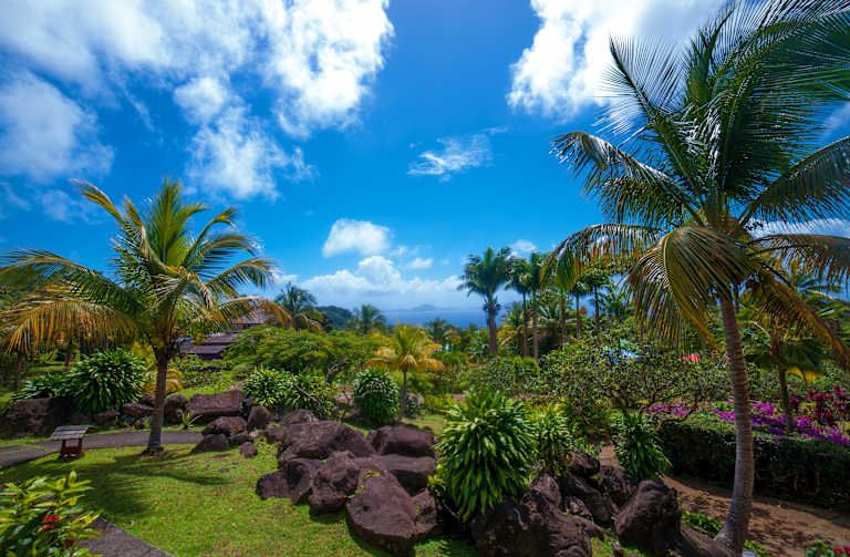 Jardin Malanga - 3* pas cher photo 15