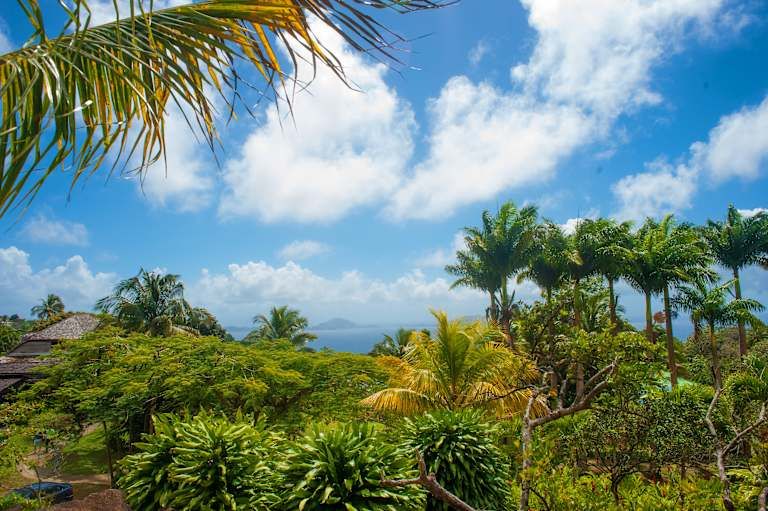 Jardin Malanga - 3* pas cher photo 16