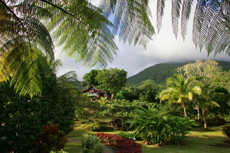 Jardin Malanga - 3* pas cher photo 17