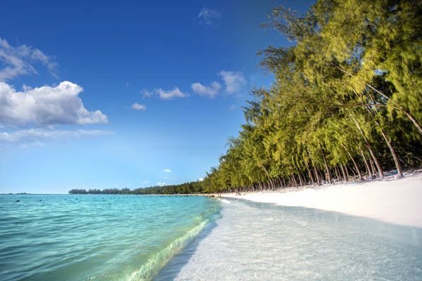 Club Jumbo Tarisa Resort & Spa 3* sup pas cher photo 2