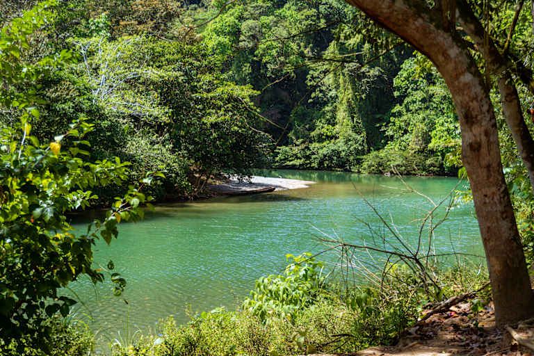 Le Panama que j'aime - 3* pas cher photo 10