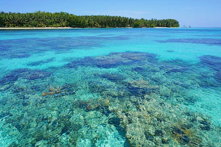 Le Panama que j'aime - 3* pas cher photo 16