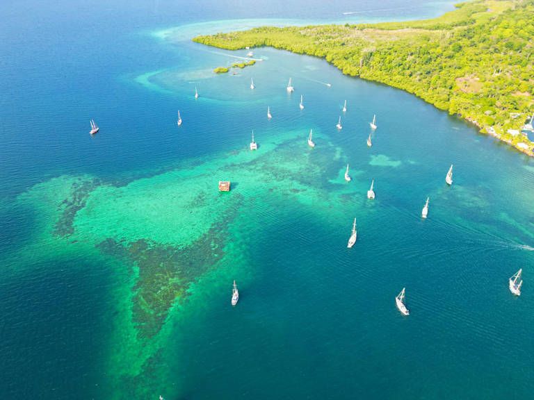 Le Panama que j'aime - 3* pas cher photo 18