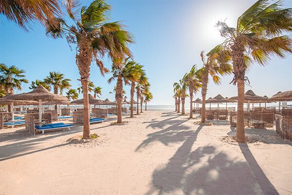 Hôtel Club Jumbo Amwaj Beach Club Abu Soma 4* pas cher photo 5