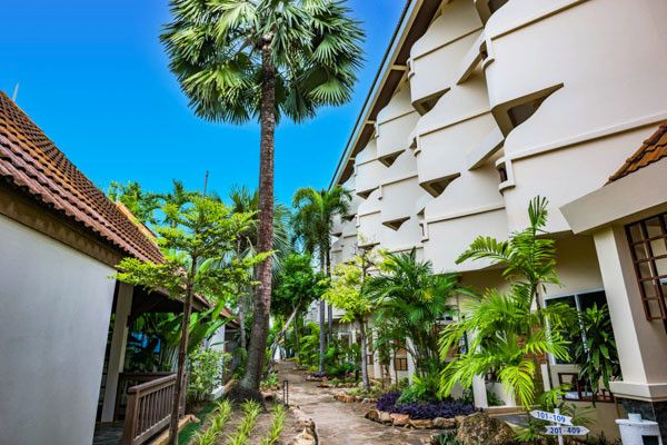 Hôtel Samui Natien Beach Resort 3* sup pas cher photo 18