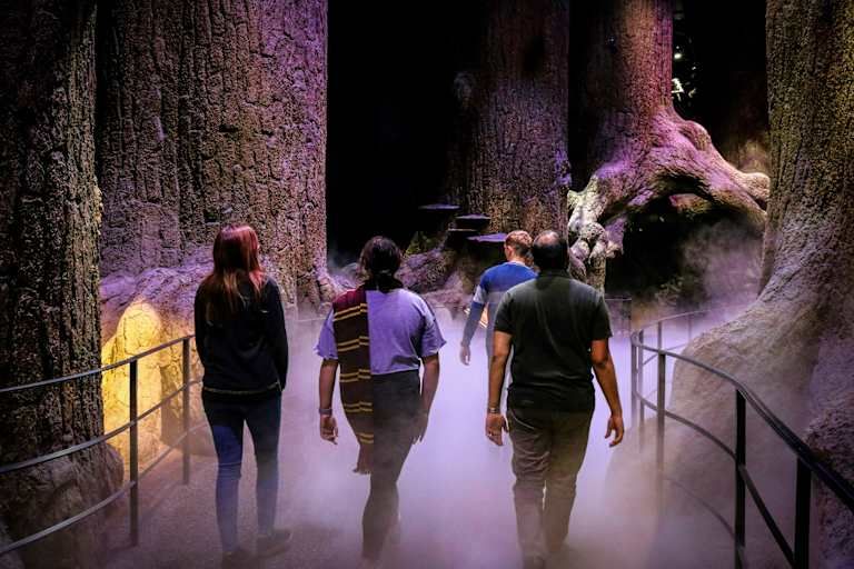Hôtel The California 3* et Studios Harry Potter pas cher photo 6