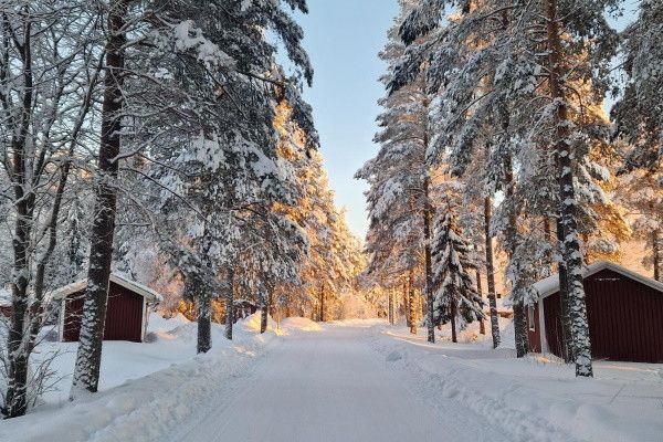 Club Jumbo First Village (activités incluses) 3* pas cher photo 16