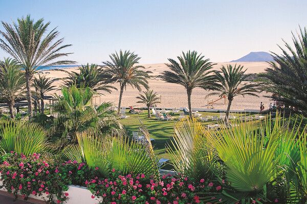 Hôtel Riu Oliva Beach Resort (CM) 3* pas cher photo 10