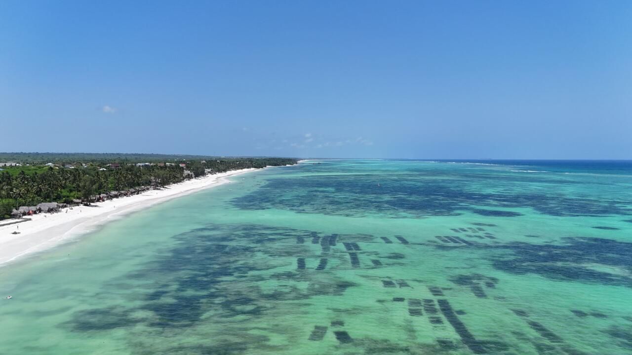 Hôtel Blue Bay Beach Resort et Spa 5* pas cher photo 11