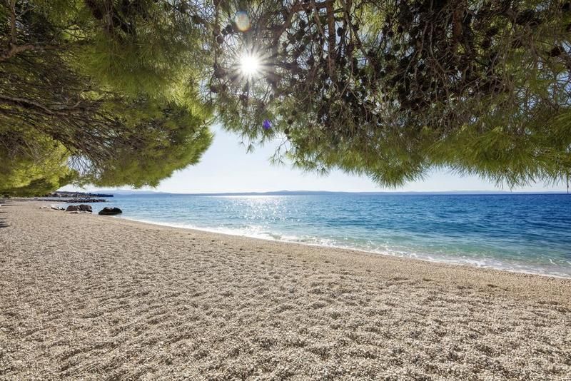 Hôtel Blue Sun Afrodita 4* pas cher photo 3