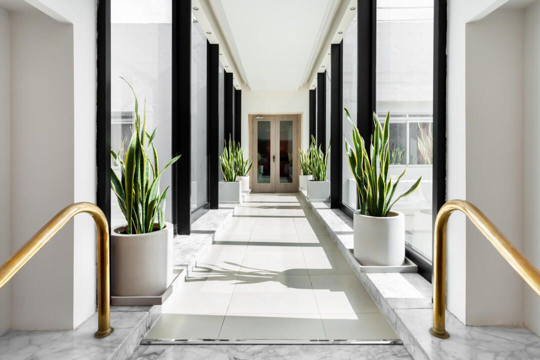 Hôtel Plaza Regency 3* pas cher photo 5