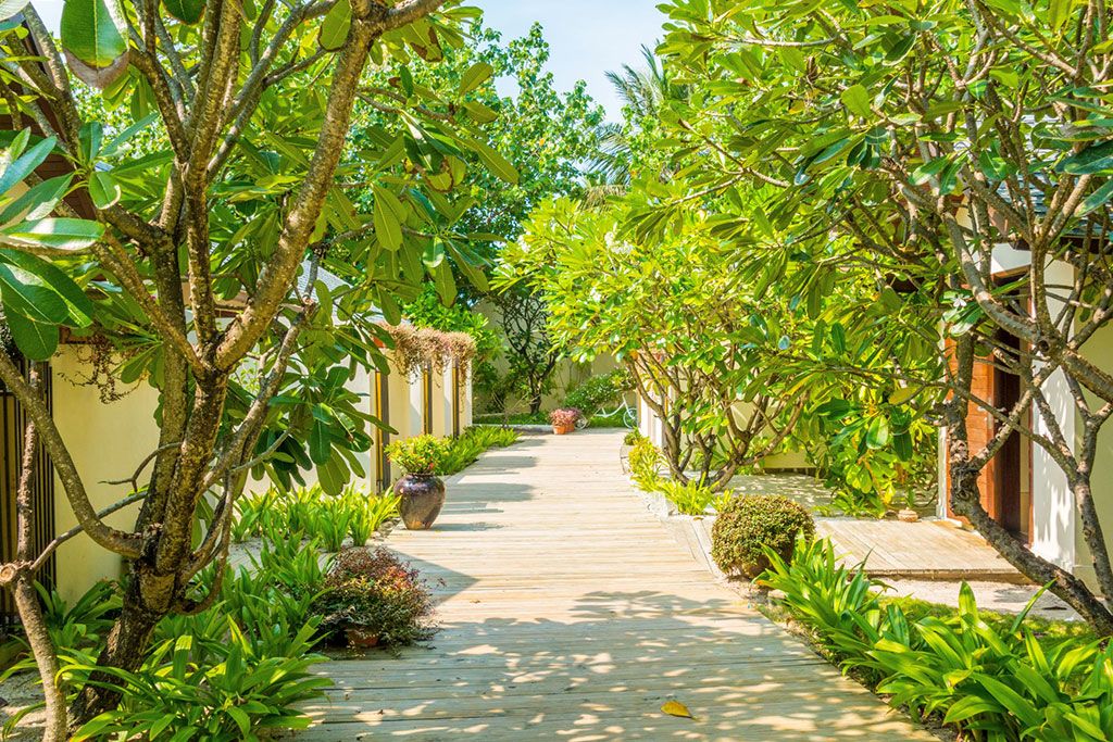 Hôtel Centara Ras Fushi Resort et Spa 5* pas cher photo 10