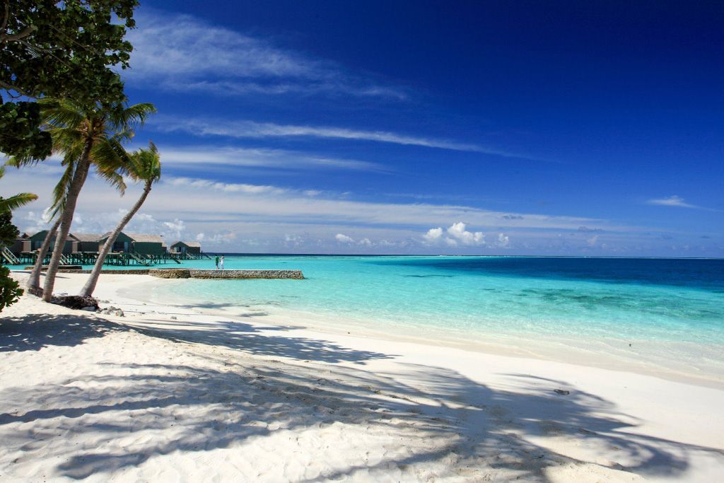 Hôtel Centara Ras Fushi Resort et Spa 5* pas cher photo 16