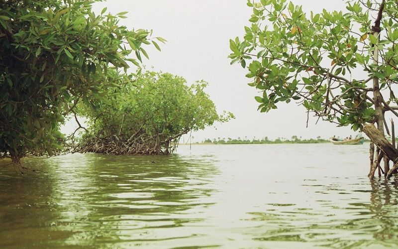 King Baobab Lodge - Flex - Sénégal pas cher