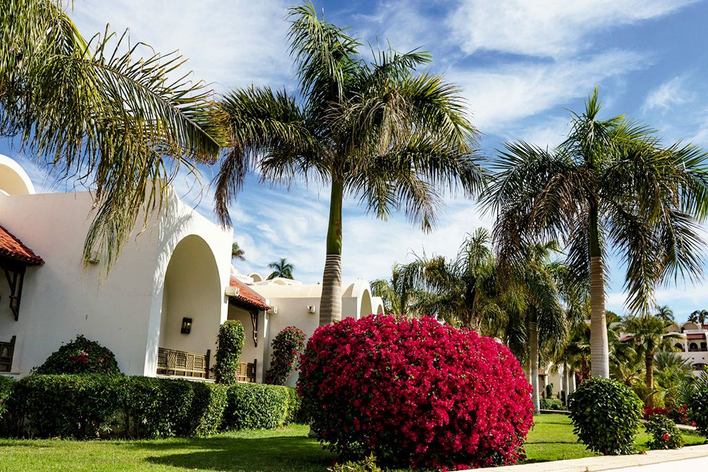 Hôtel Mövenpick Resort Sharm El Sheikh 5* pas cher photo 10