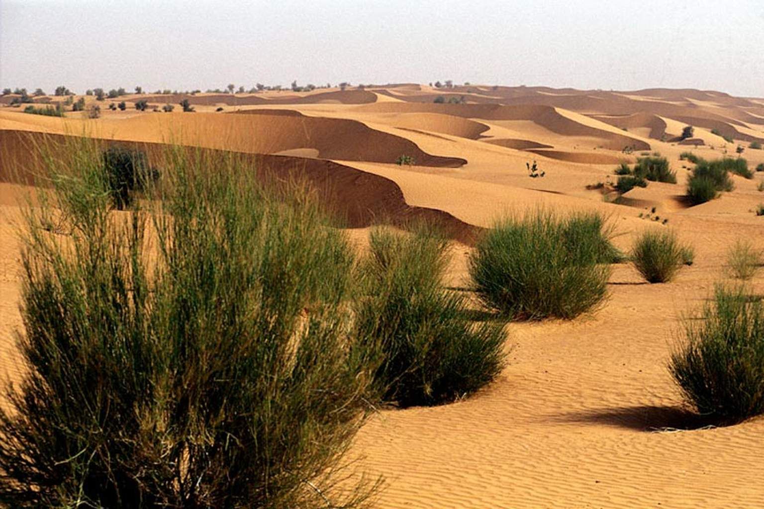 Hôtel Diamarek 3* pas cher photo 9