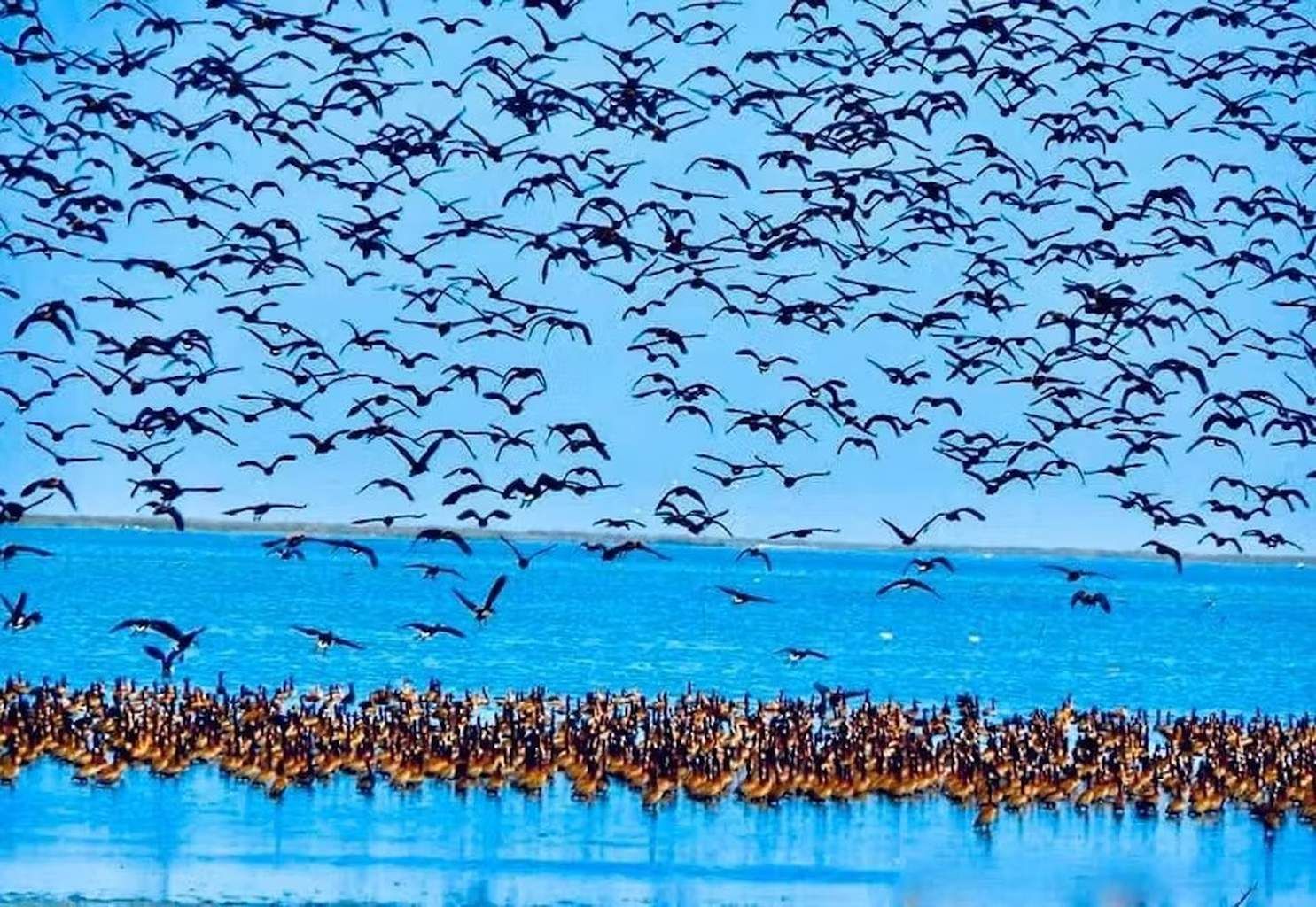 Hôtel Diamarek 3* pas cher photo 10