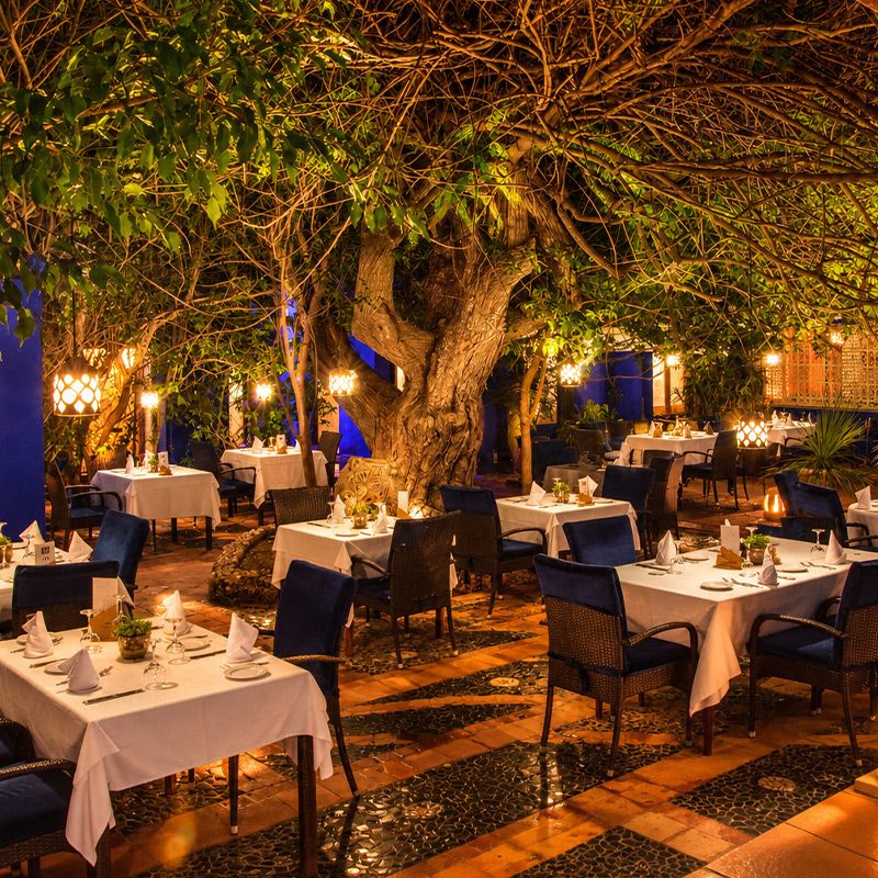 Hôtel Mondi Club Africa Jade Thalasso 4* pas cher photo 24