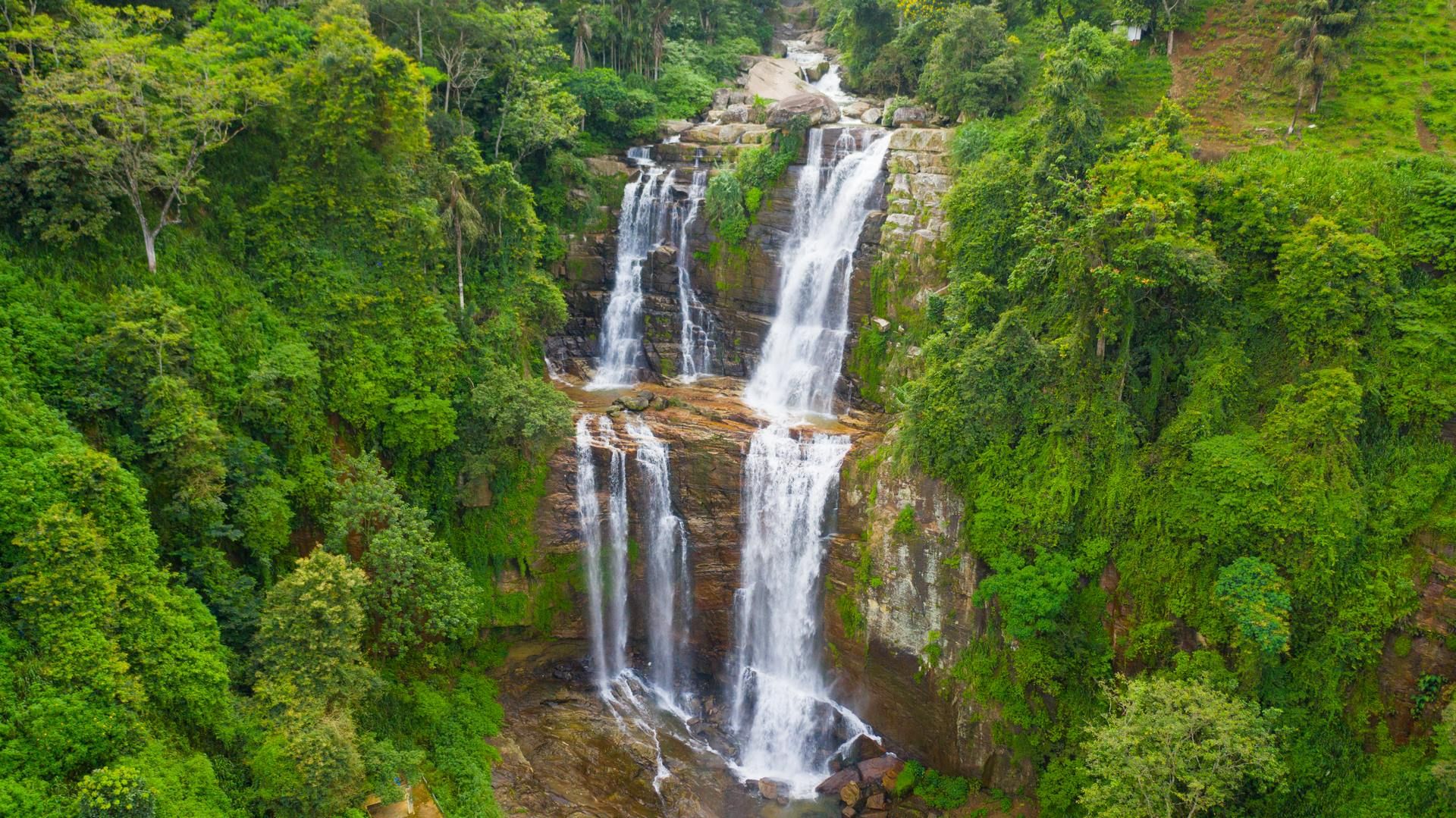 Expériences Sri lankaises - 13J/10N - Privatif 2026 pas cher photo 3