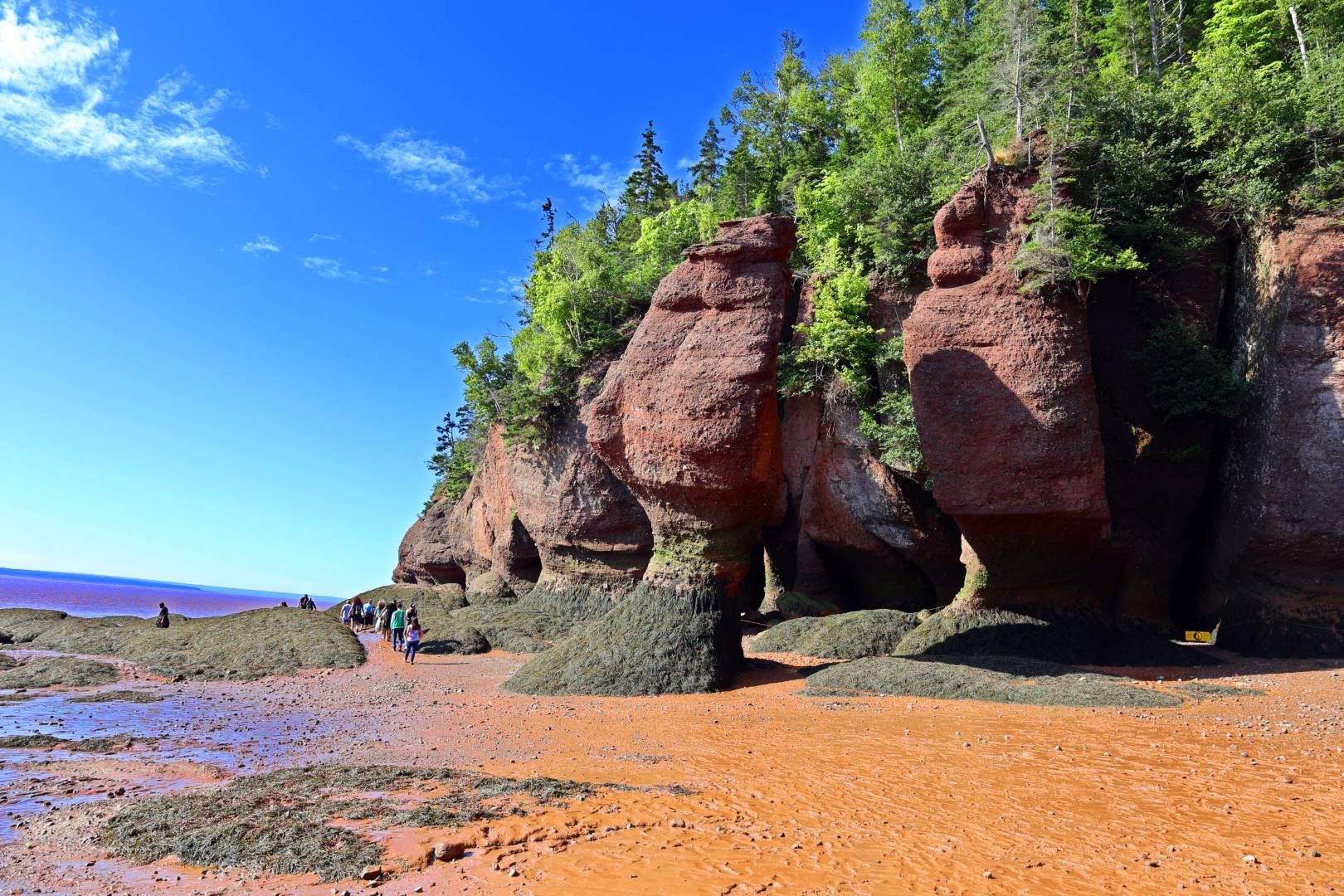 Au Pays du Homard Bleu + Pré-Tour en Ontario - 18J/16N pas cher photo 3