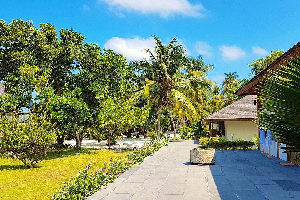 The Barefoot Eco Hôtel 4* pas cher photo 11