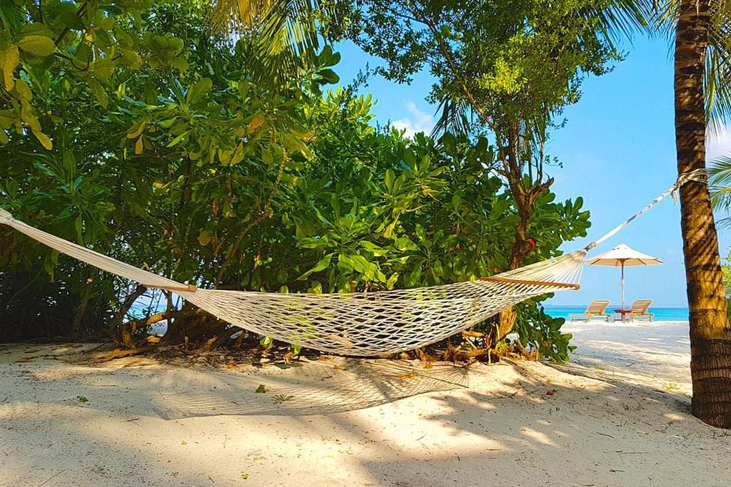The Barefoot Eco Hôtel 4* pas cher photo 12